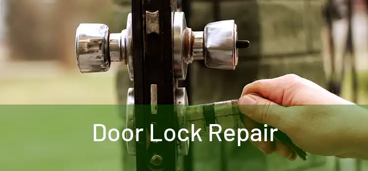 Door Lock Repair