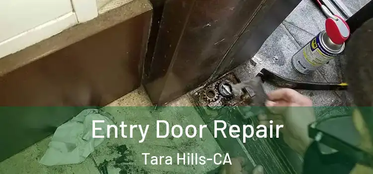  Entry Door Repair Tara Hills-CA