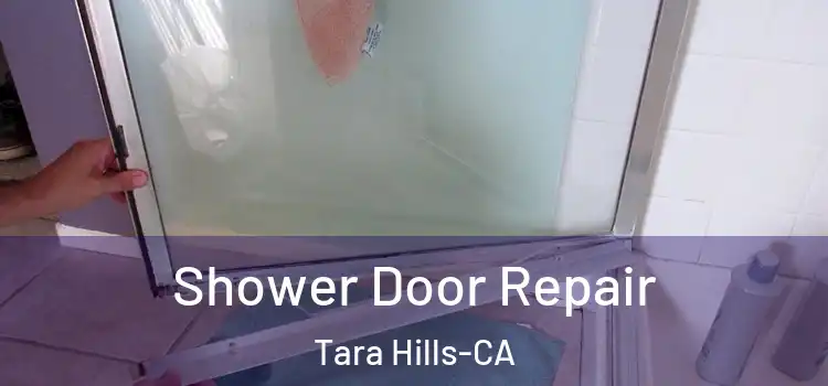  Shower Door Repair Tara Hills-CA